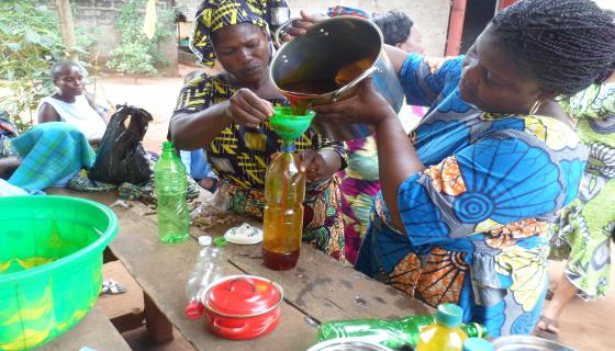 Activité génératrice de revenu par les femmes bénéficiaire d'appui de AVIMERO